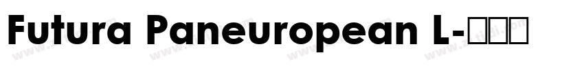 Futura Paneuropean L字体转换